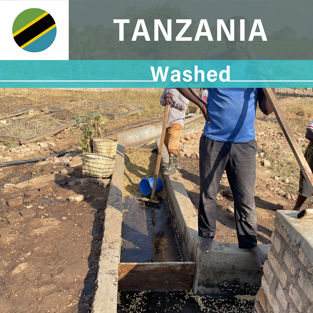 Tanzania Itumpi AA Washed(24/25年クロップ) | ORIGIN COUNTRIES